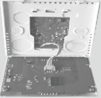 1739169840299966.png image.png