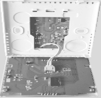 1739171261603226.png image.png