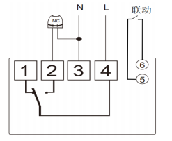 1788163023175491.png image.png
